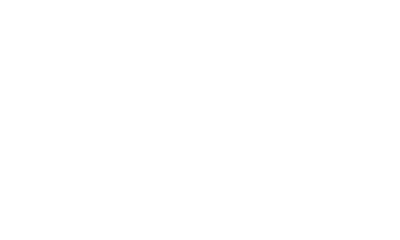 Onyx™